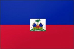 Spongebob Haitian Flag